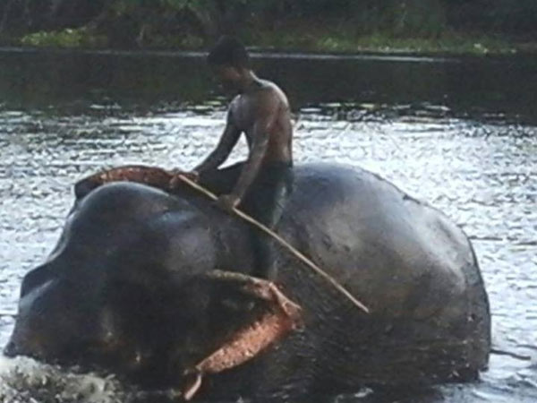 கில்லாடி சுமதி கில்லாடி சுமதி