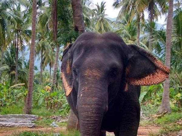 செம ஷார்ப் செம ஷார்ப்