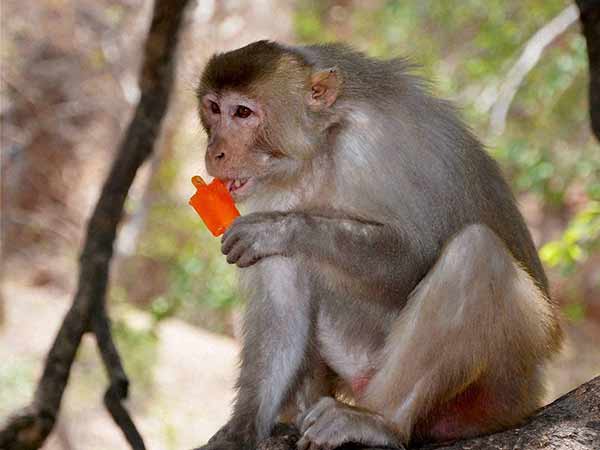  கெஞ்சிய குடும்பத்தார்