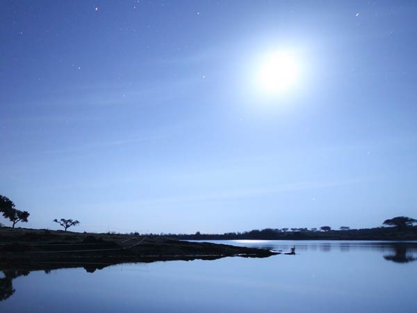  புத்தம் புது முயற்சி