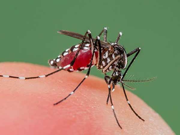  விபரீதங்கள்