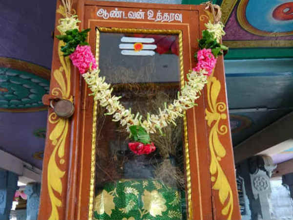 முருகனின் அருள்
