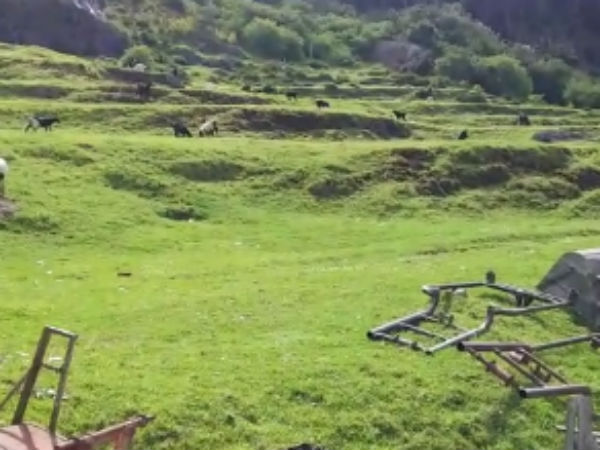 வைரல் வீடியோ 