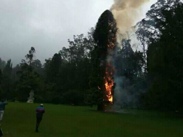 பனிமூட்டம் 