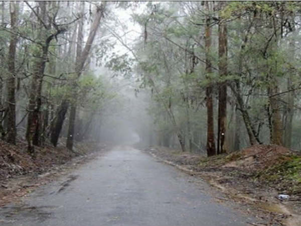 பனிமூட்டம் 