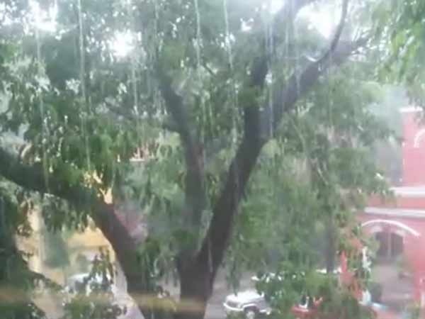 புயல் சின்னம் 