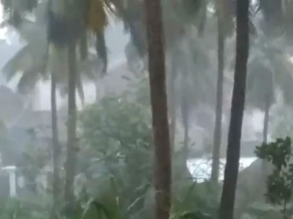 பூனை கத்தியது 