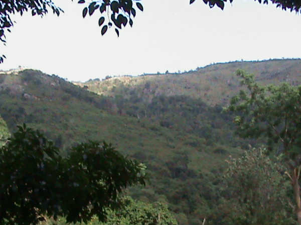 பக்தர்களுக்கு அனுமதி மறுப்பு 