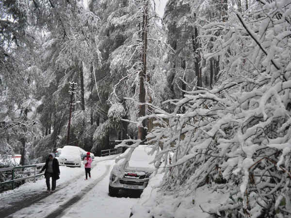  மக்கள் ஆசைப்பட்டால்.. 