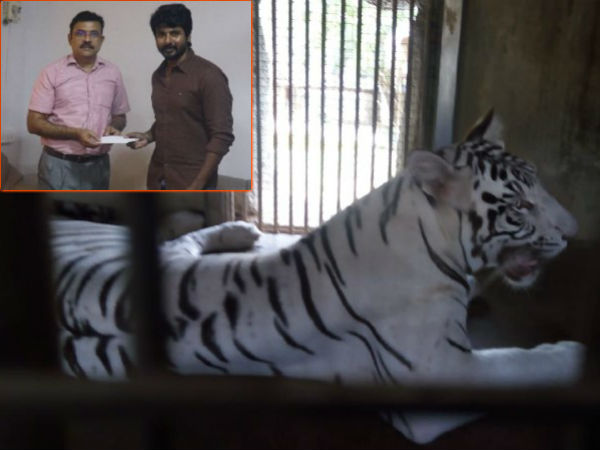 வாழ்த்துக்கள் சிவா 