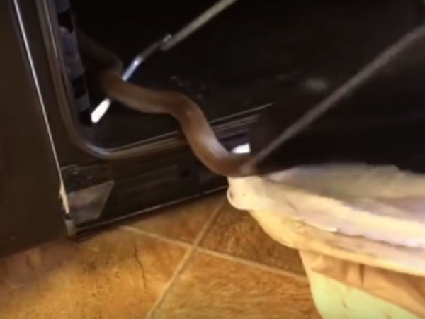 அது என்னன்னு பாருங்க 