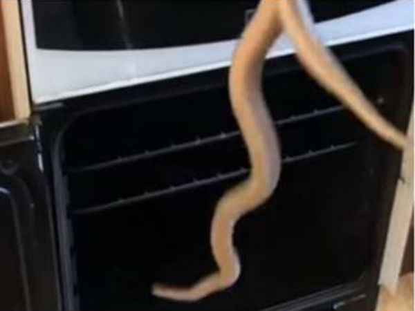 மீட்டு சென்றனர் 