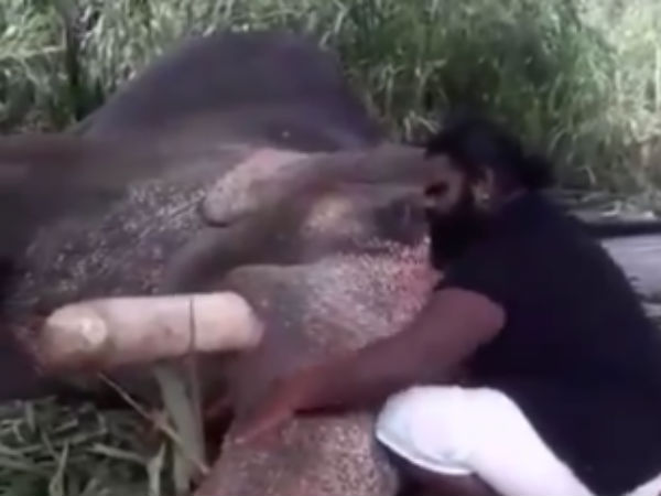 பராமரிப்பு வேலை 