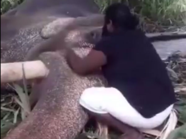 குஞ்சன் என் குழந்தை 