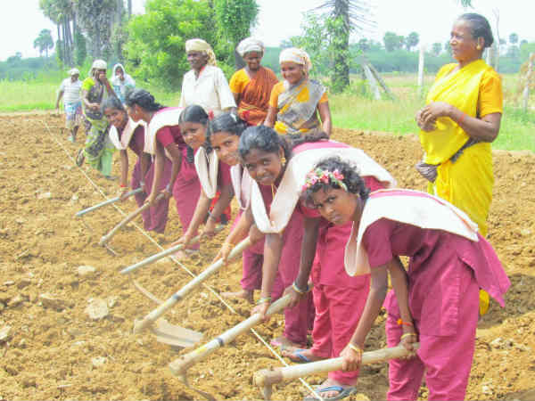 Students learn how to do farming works 