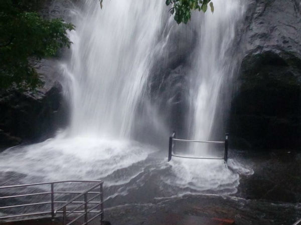 சுருளி அருவி 