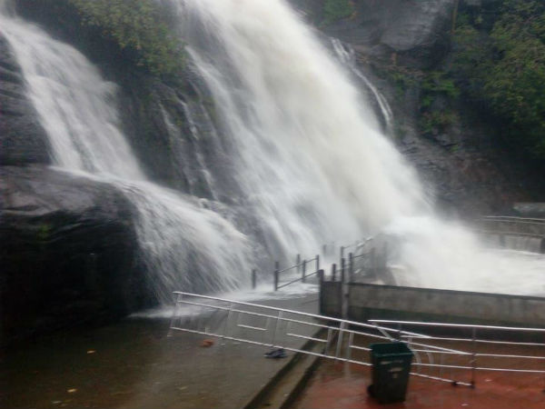 போக்குவரத்து நெரிசல் 