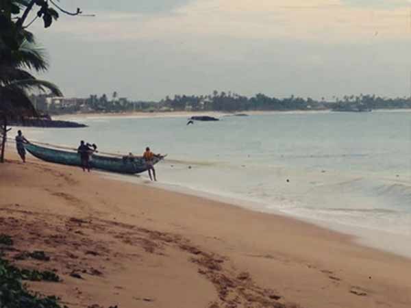 முட்டாள் தம்பதி 