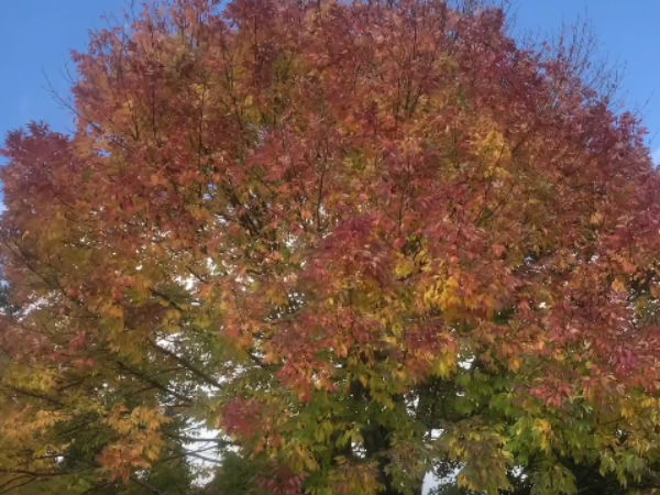  வாங்கிங் போங்க