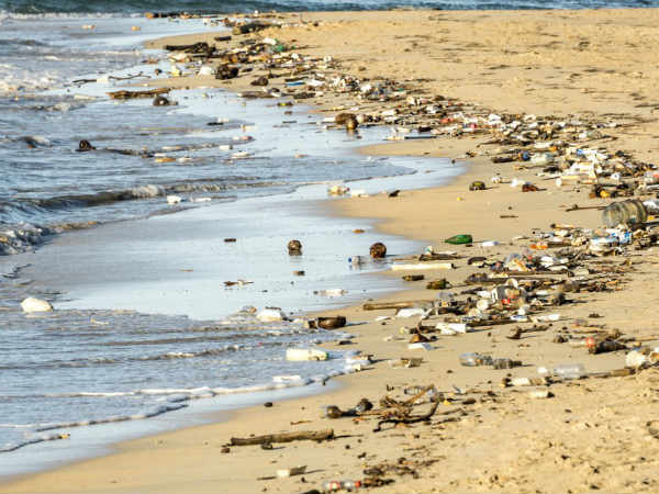 என்ன மாற்றம் 