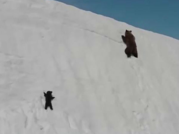 ஆரம்பித்த இடம் ஆரம்பித்த இடம்