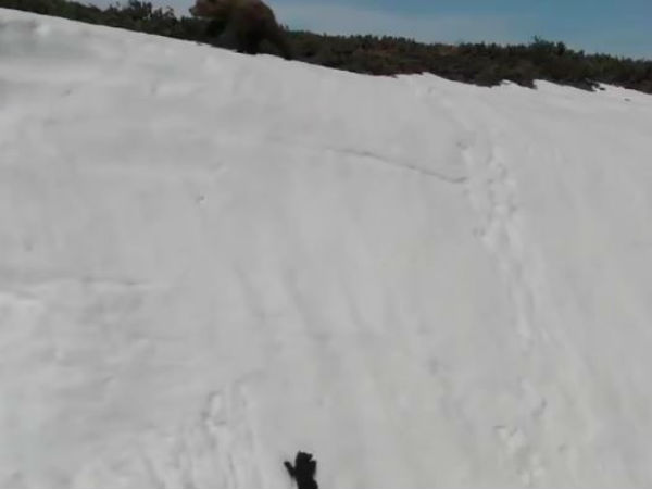 முகத்தில் எத்தனை சந்தோஷம் முகத்தில் எத்தனை சந்தோஷம்