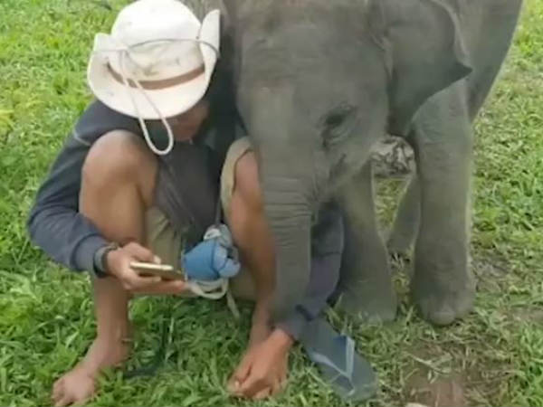 சைகை செய்தது சைகை செய்தது