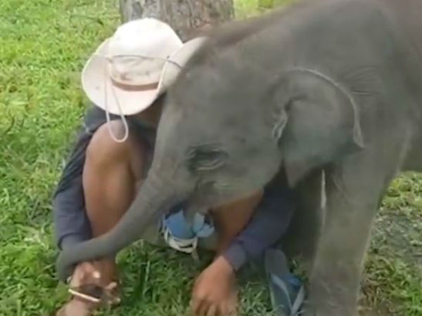 கடித்து விட்டது கடித்து விட்டது