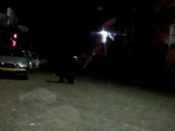  ஆடி அசைந்து போனது