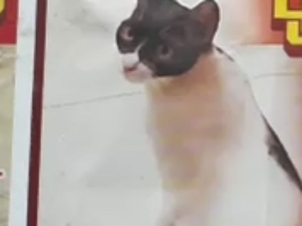 1000 ரூபாய் 