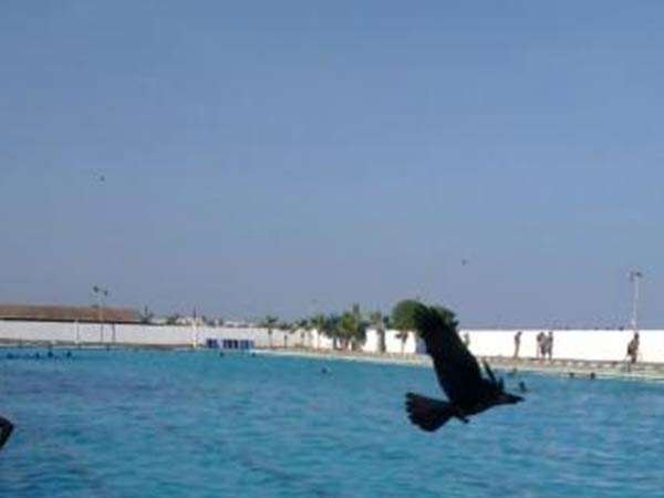 விட்டு சென்ற செருப்புகள் 