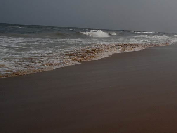 விரைவில் பிடித்து விடுவோம் விரைவில் பிடித்து விடுவோம்