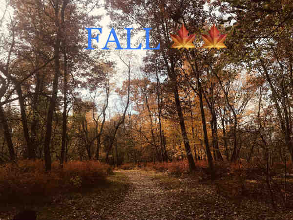 நெடுந்தூர டிரைவ் அழகு 