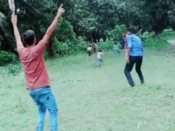 டம்மி பந்து டம்மி பந்து