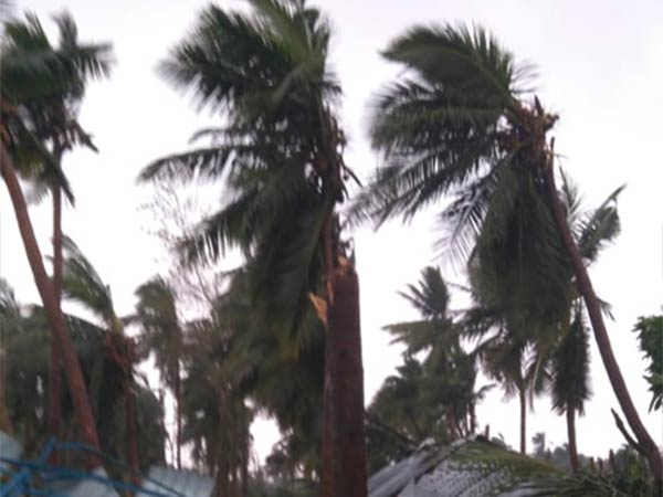 பீதி 