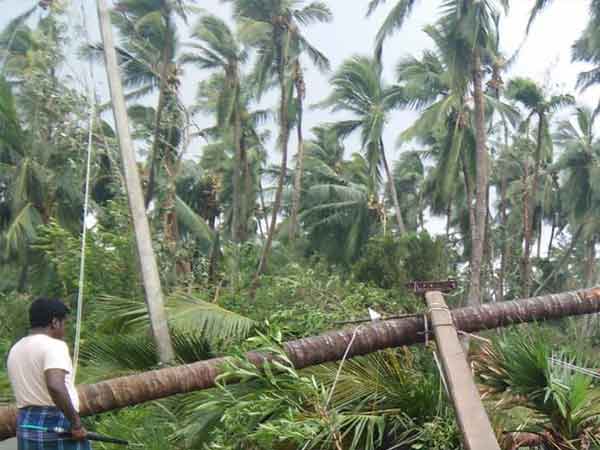 மின் வினியோகம் 