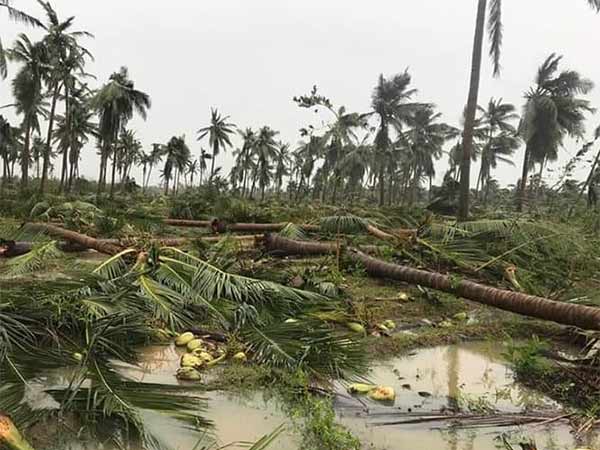 அறிவிப்பு ஏதும் இல்லை 