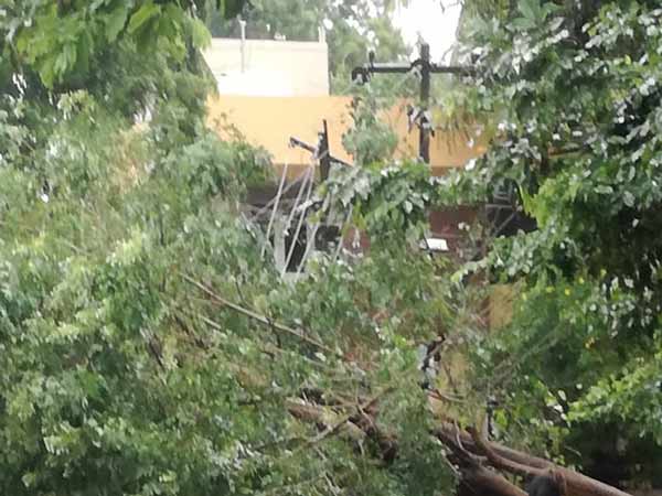 எதிர்பார்க்கவில்லை 