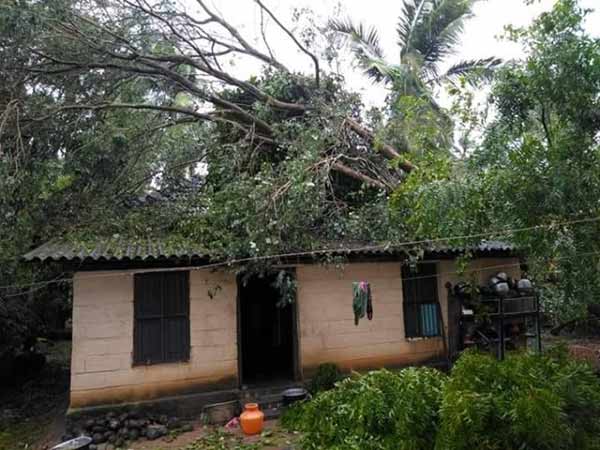 முழுமையாக சரியாக நாட்களாகும் முழுமையாக சரியாக நாட்களாகும்