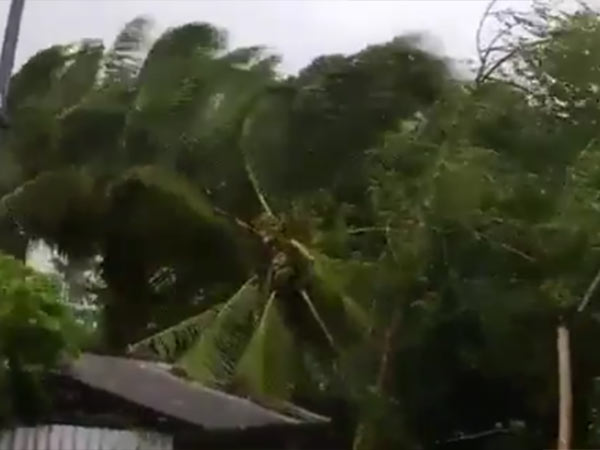 புயல் காற்றின் தாக்கம் 