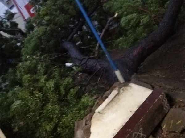 Gaja Storm: Rameshwaram sees the heavy storm and furious waves 