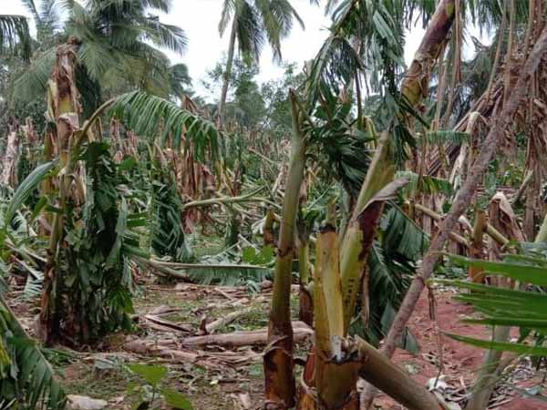  நிதி ஒதுக்கப்படவில்லை