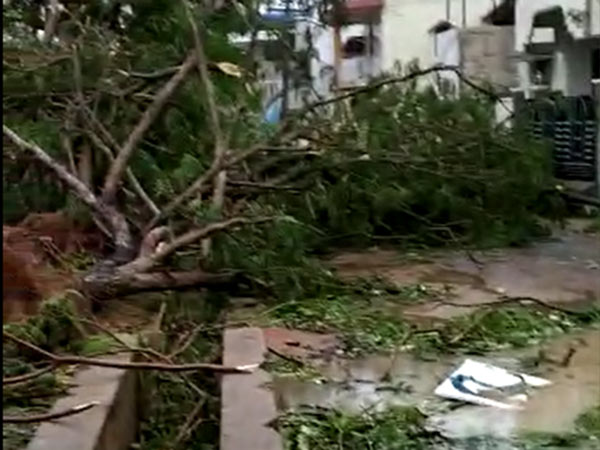 வர்தாவின் தாண்டவம் 