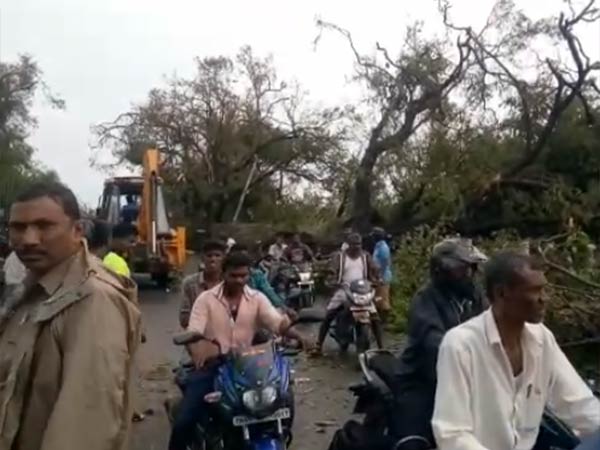  30 ஆயிரம் மரங்கள்