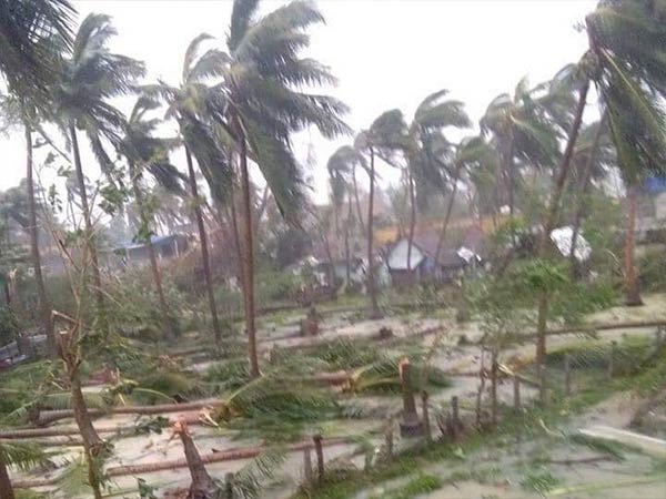 Gaja updates: Power supply will be restored after 2 days only in Nagapattinam district 