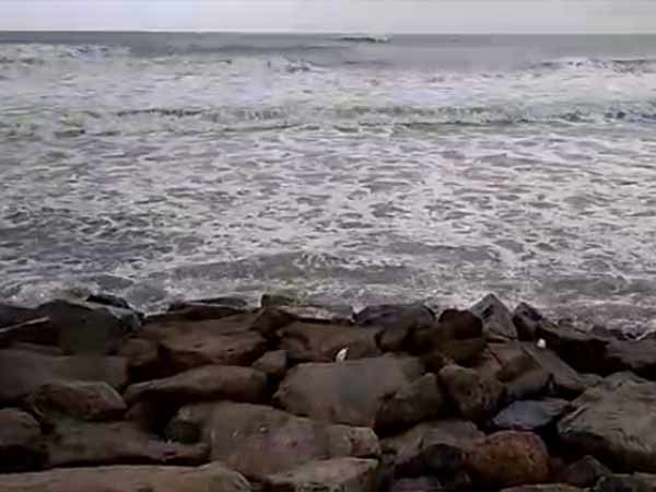 விடுமுறை 