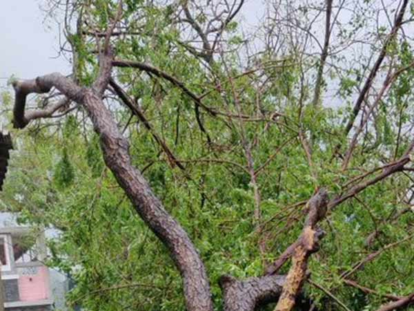 7 மாவட்டங்கள் பாதித்தது 