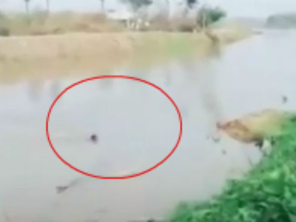  சாப்பாடு வேண்டும்