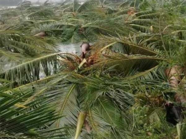 ஏத்தி வெச்சோம் இல்லை 