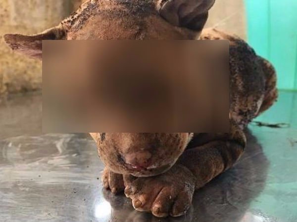 கண்ணீர் விட்டு அழுதது கண்ணீர் விட்டு அழுதது